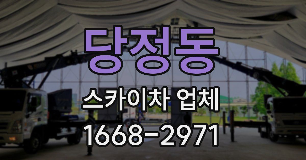 당정동 스카이차 업체