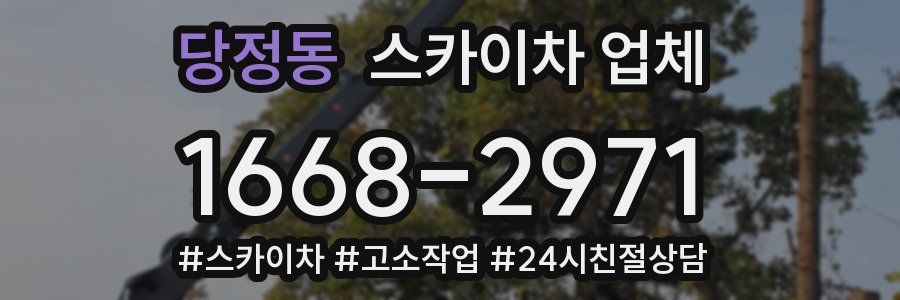 당정동 스카이차 업체
