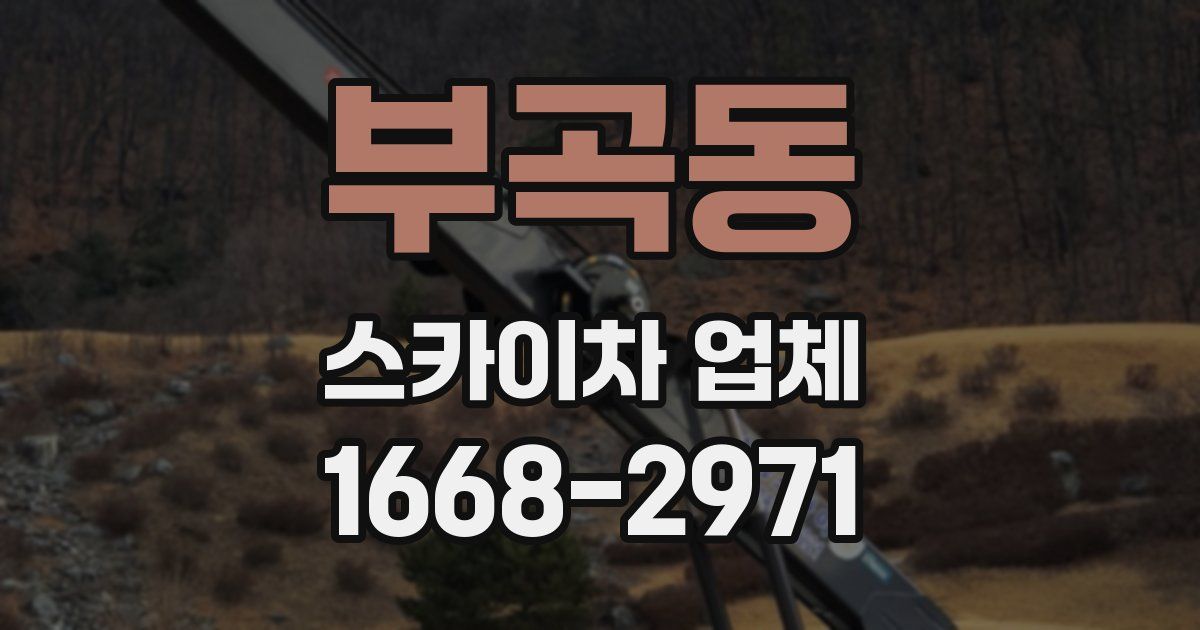 부곡동 스카이차 업체