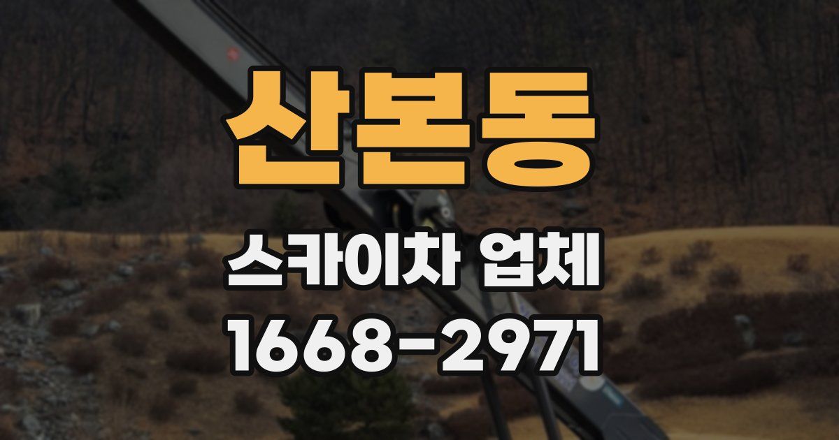 산본동 스카이차 업체