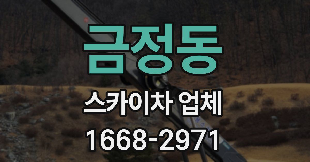 금정동 스카이차 업체