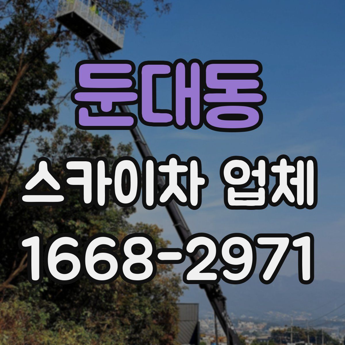 둔대동 스카이차 업체