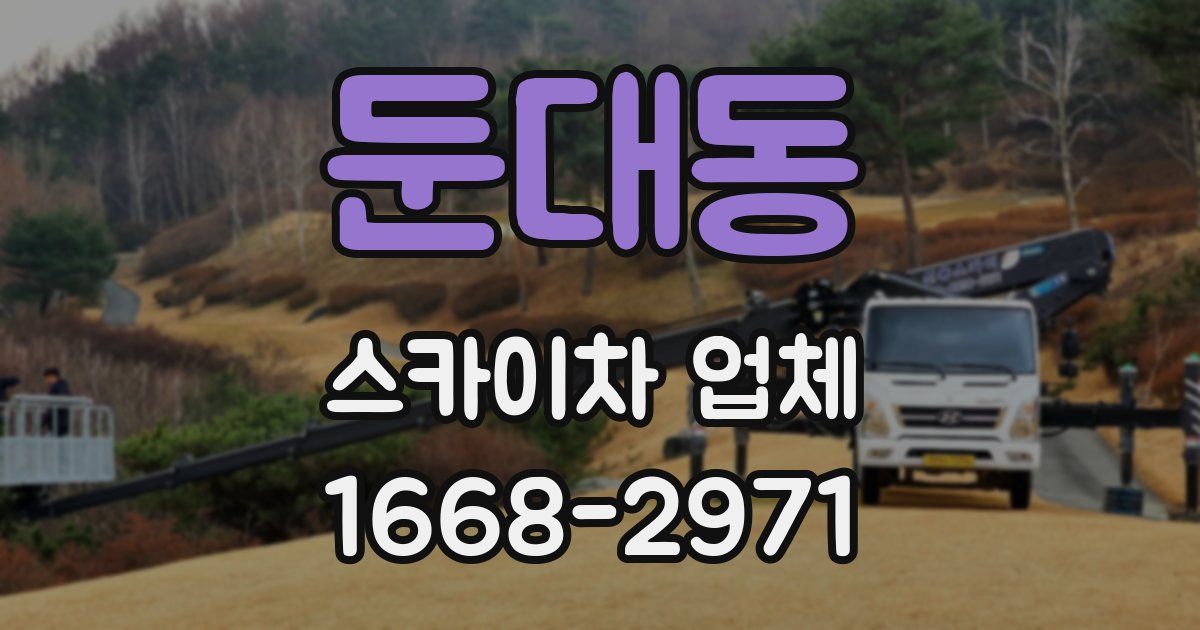 둔대동 스카이차 업체