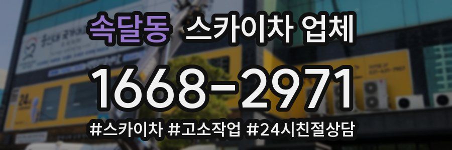 속달동 스카이차 업체