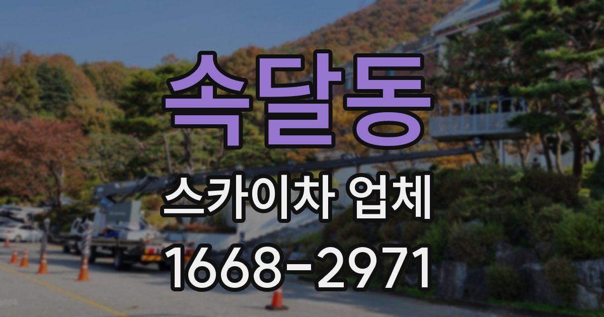 속달동 스카이차 업체