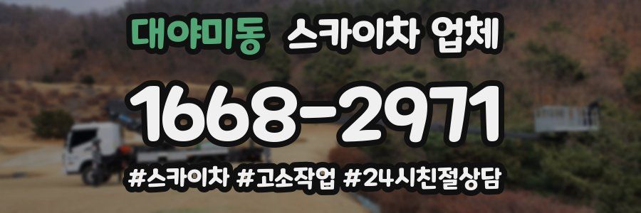 대야미동 스카이차 업체