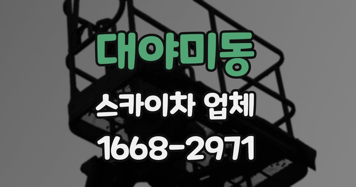 대야미동 스카이차 업체