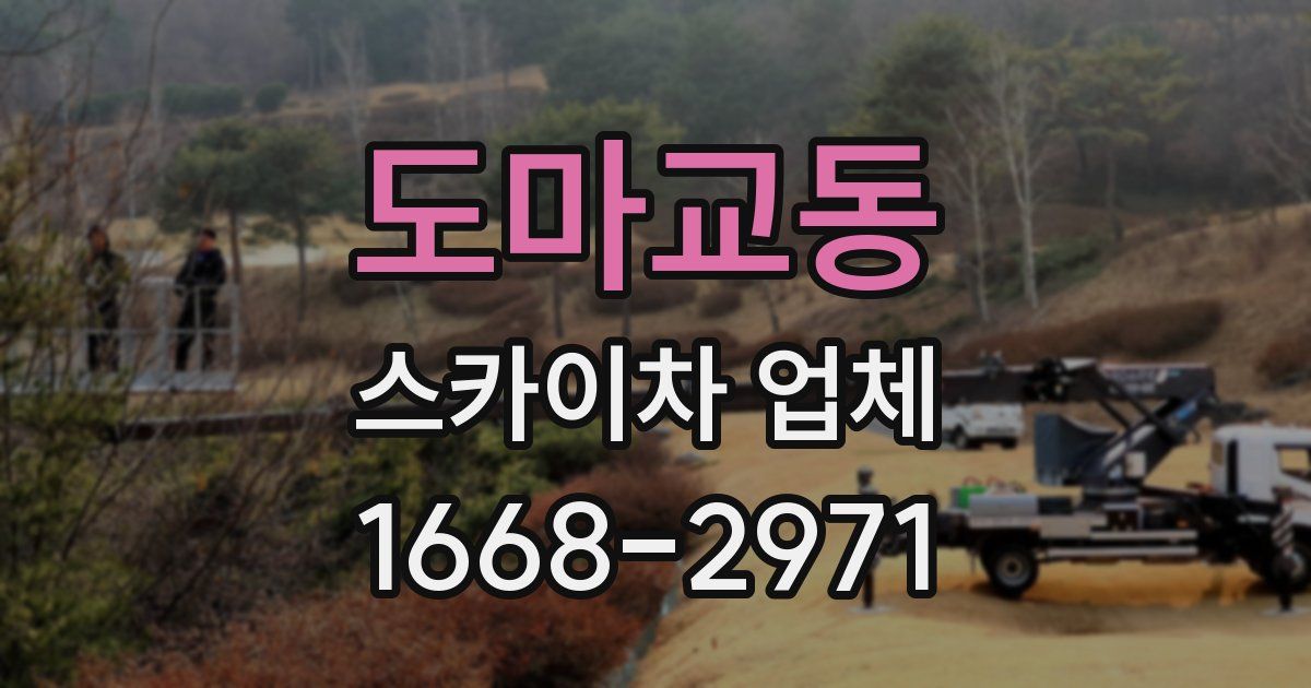 도마교동 스카이차 업체