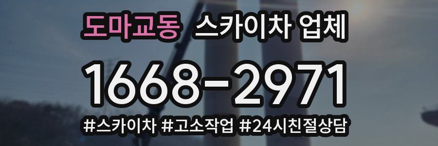 도마교동 스카이차 업체