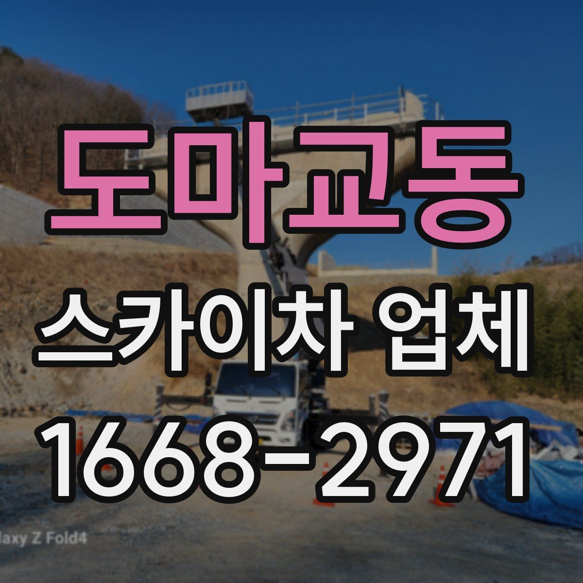 도마교동 스카이차 업체