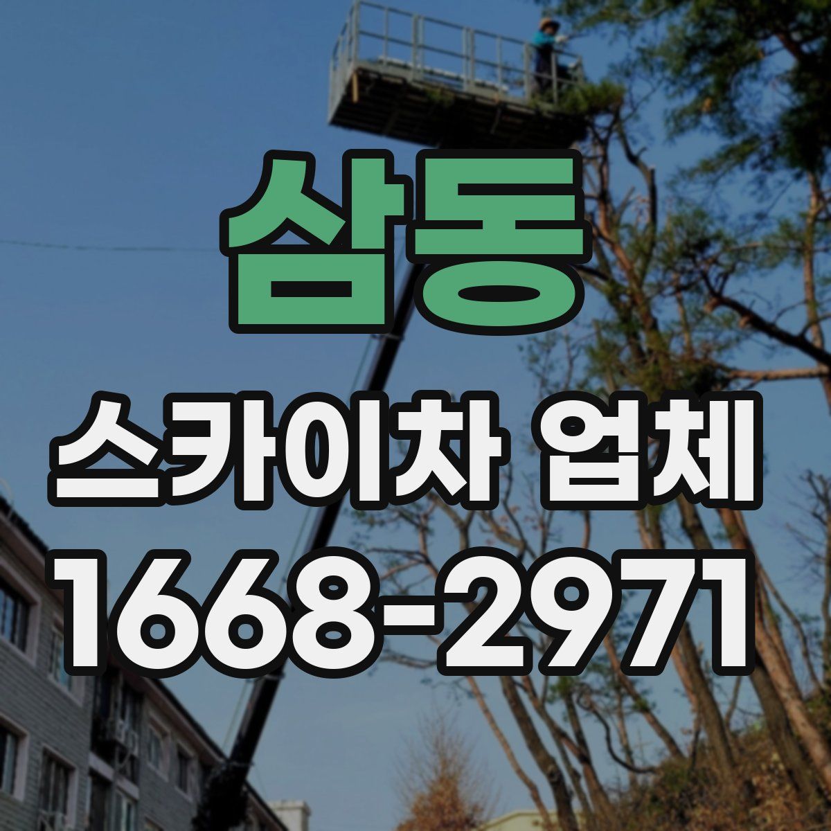 삼동 스카이차 업체
