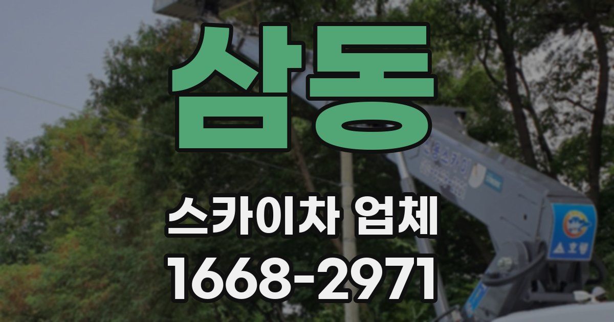 삼동 스카이차 업체