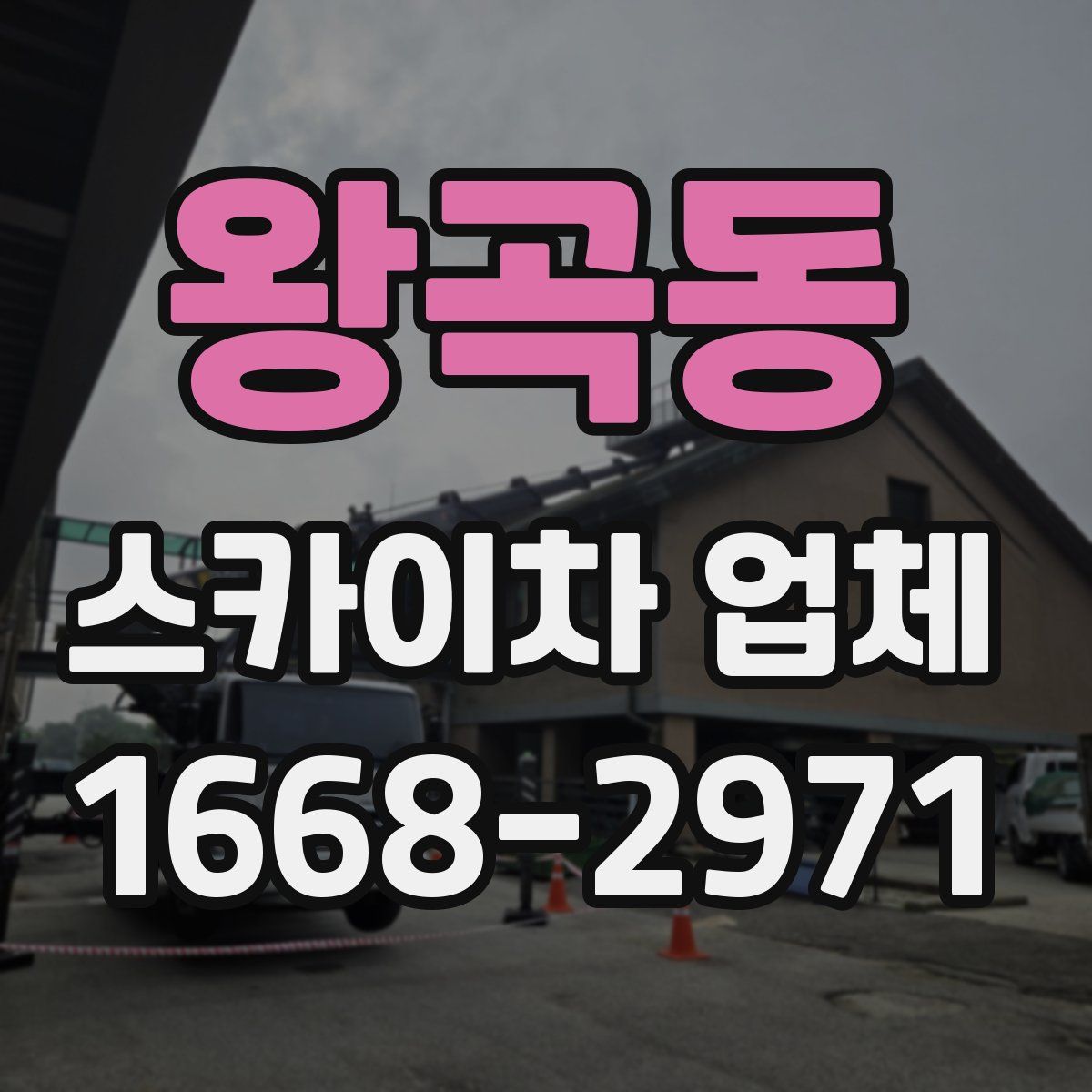 왕곡동 스카이차 업체