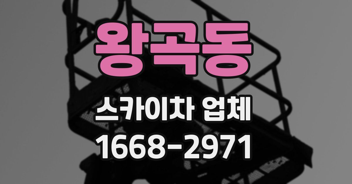 왕곡동 스카이차 업체
