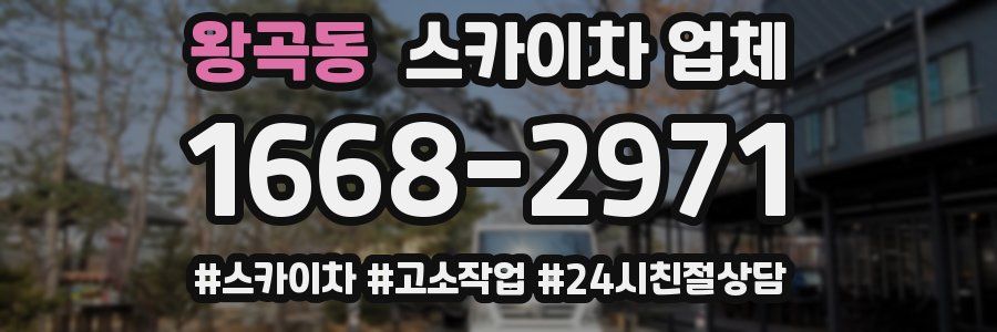 왕곡동 스카이차 업체