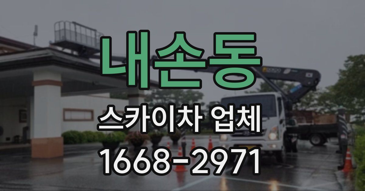 내손동 스카이차 업체