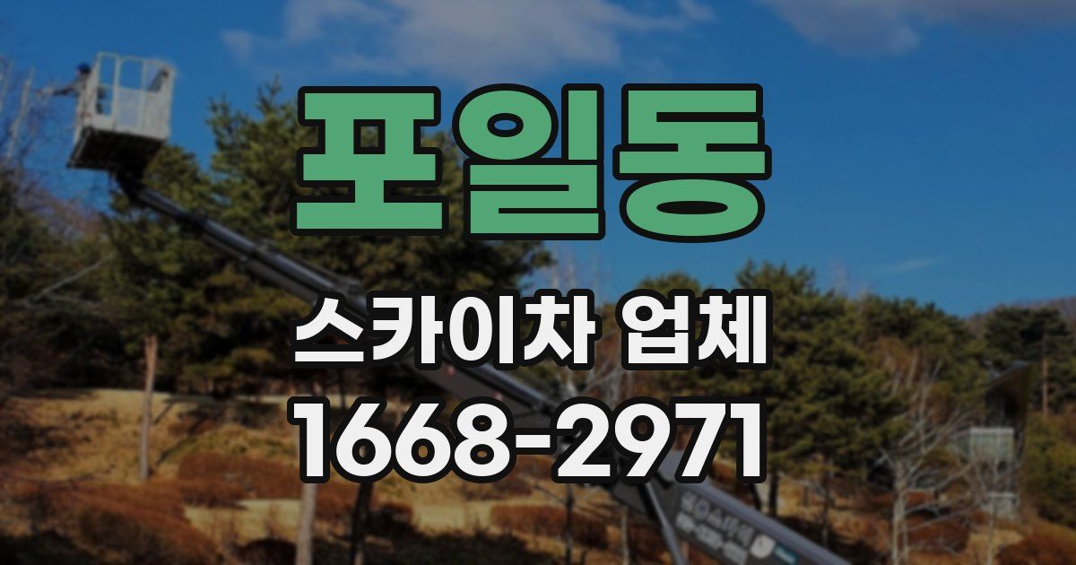 포일동 스카이차 업체