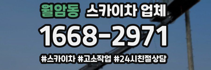 월암동 스카이차 업체