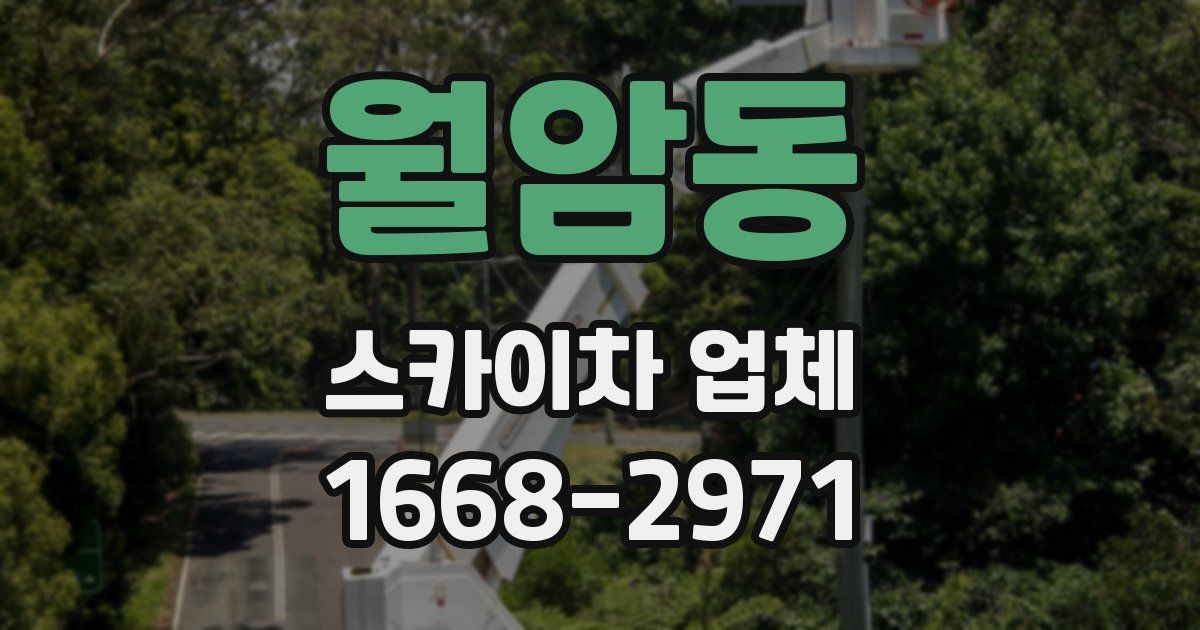 월암동 스카이차 업체