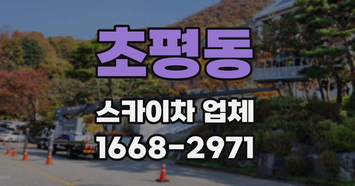 초평동 스카이차 업체