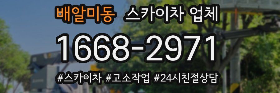 배알미동 스카이차 업체