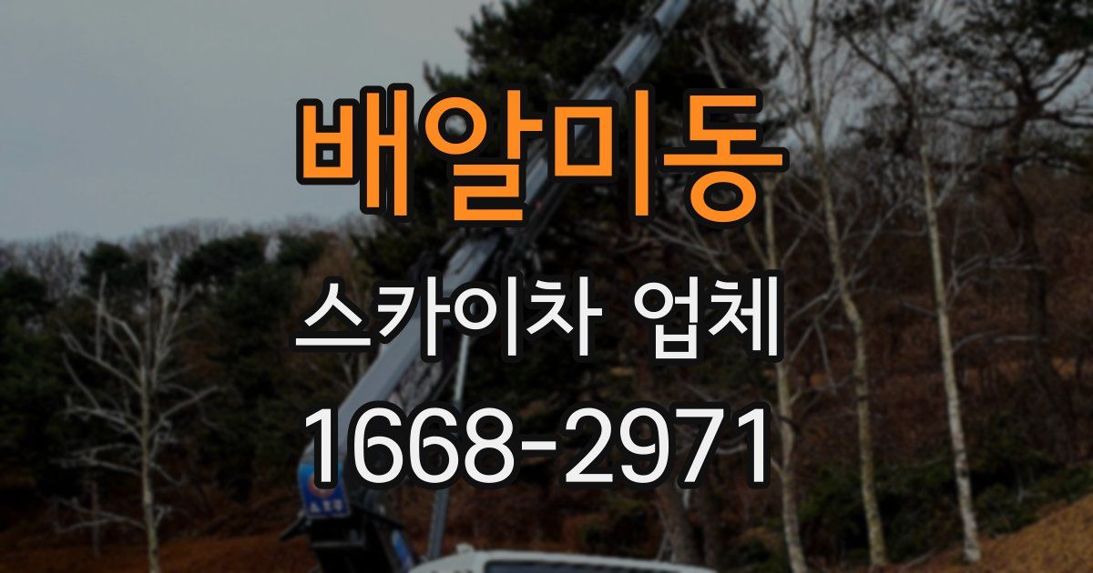 배알미동 스카이차 업체