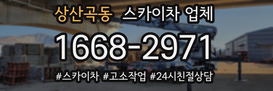 상산곡동 스카이차 업체