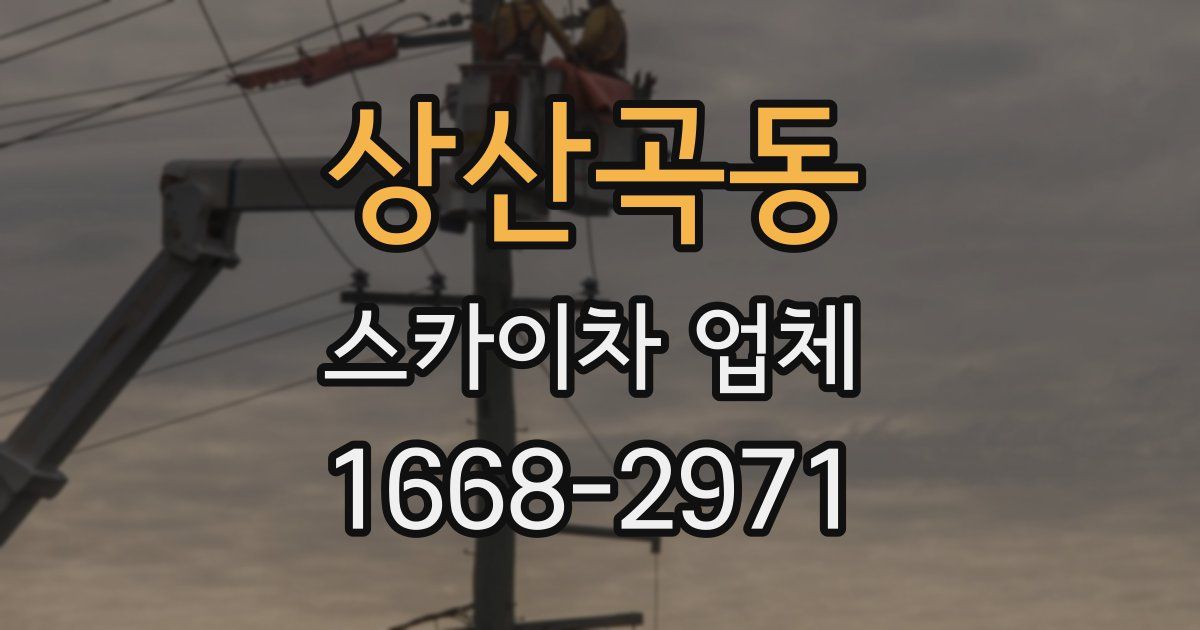 상산곡동 스카이차 업체