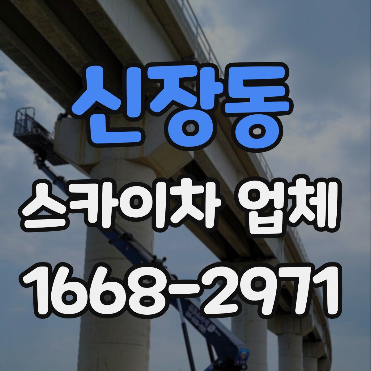 신장동 스카이차 업체