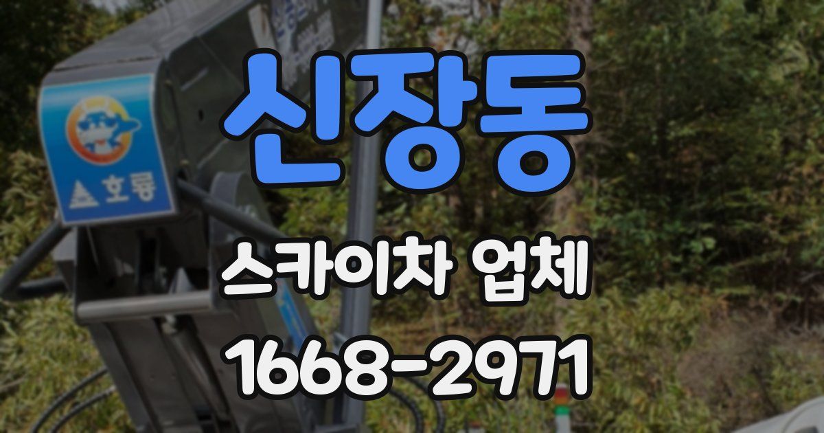 신장동 스카이차 업체
