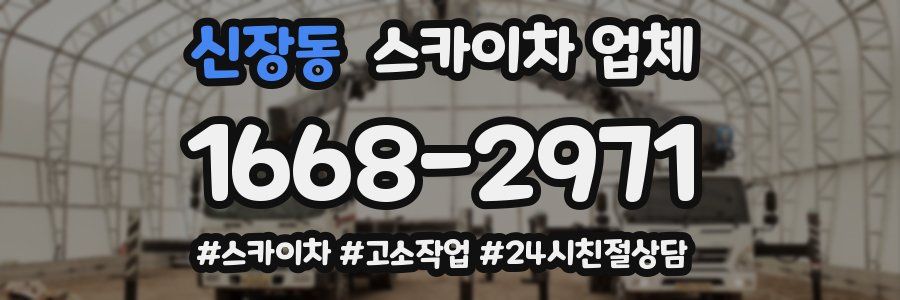 신장동 스카이차 업체