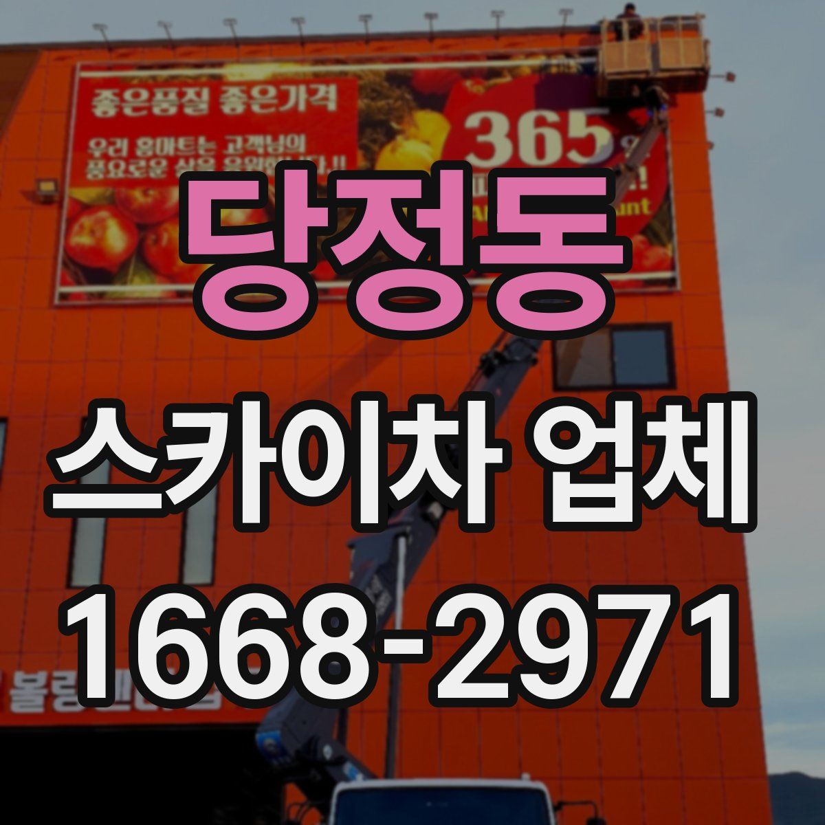 당정동 스카이차 업체
