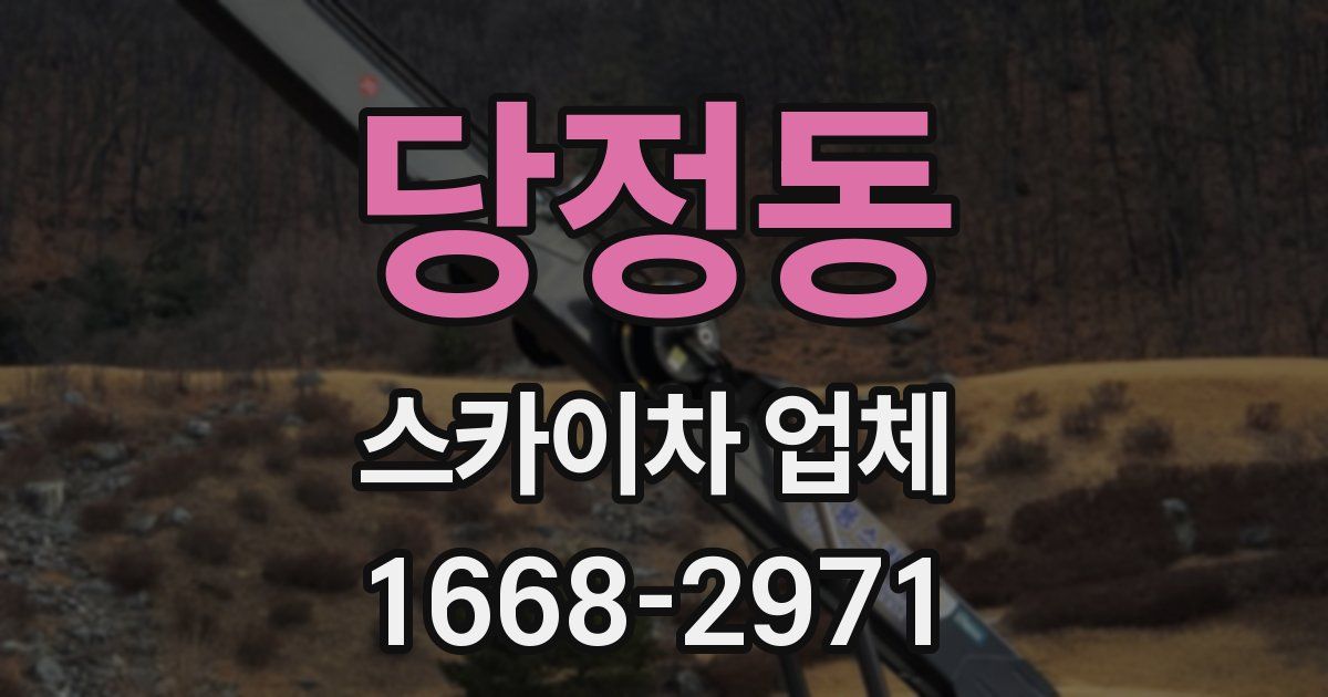 당정동 스카이차 업체