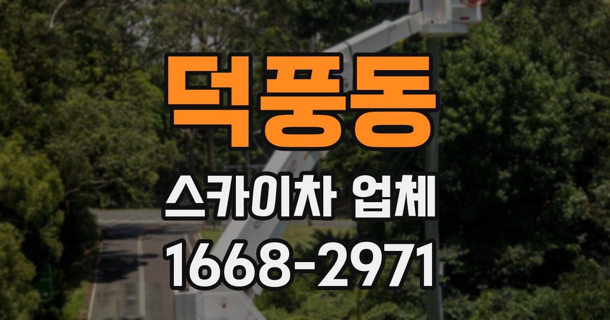 덕풍동 스카이차 업체