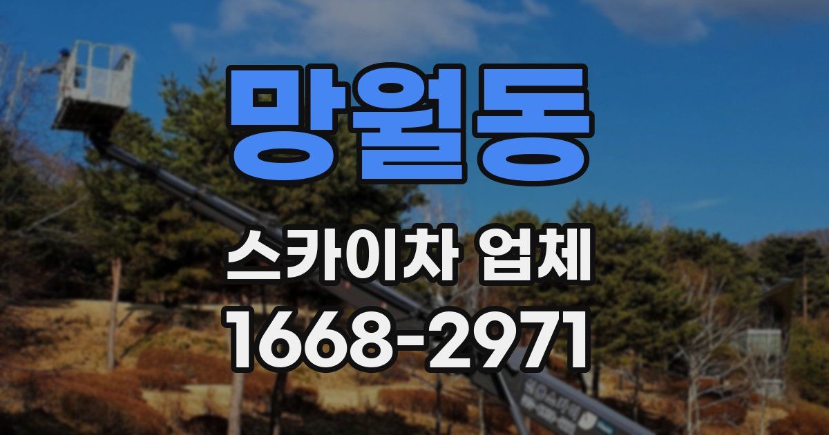 망월동 스카이차 업체