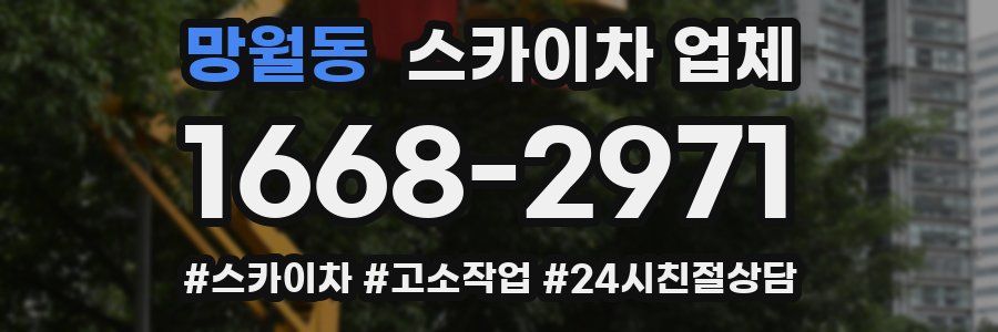 망월동 스카이차 업체