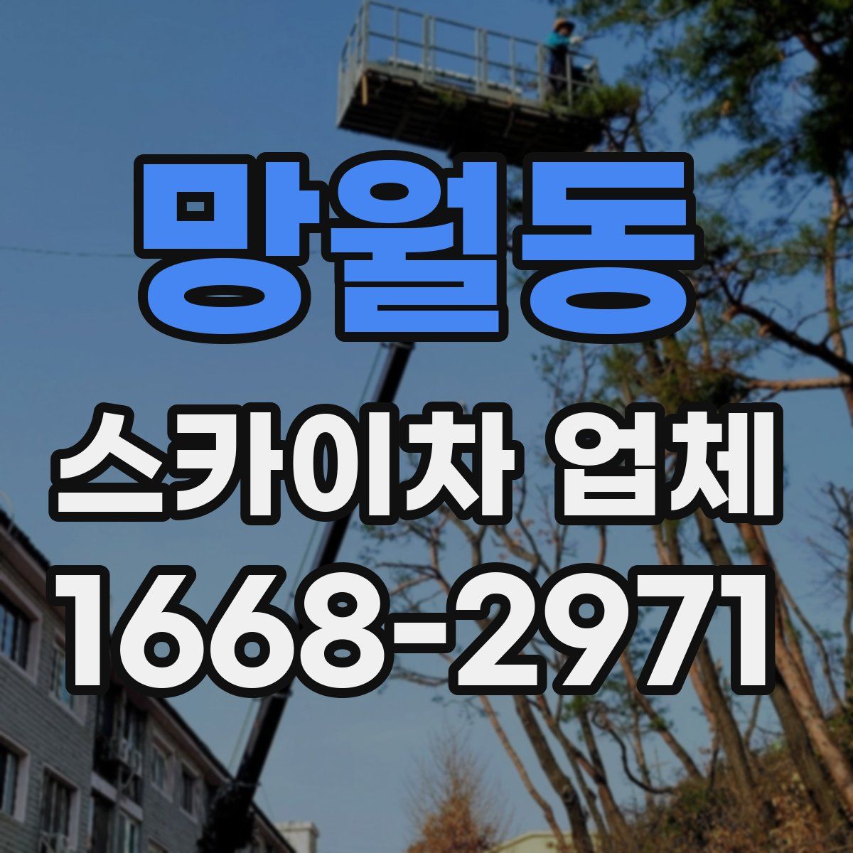 망월동 스카이차 업체