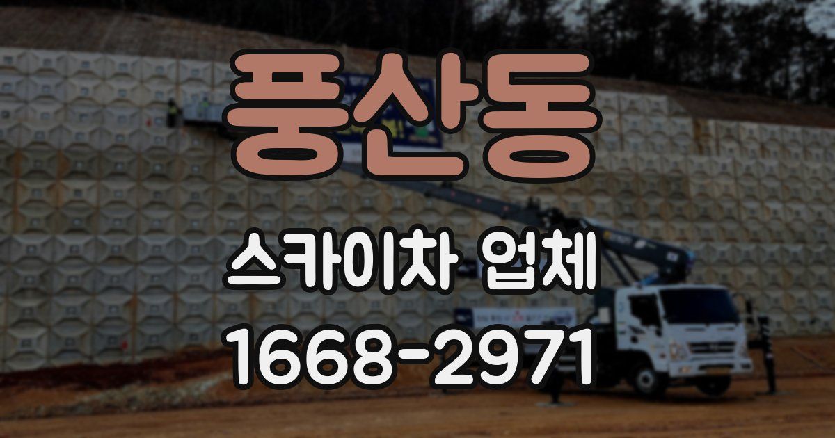 풍산동 스카이차 업체