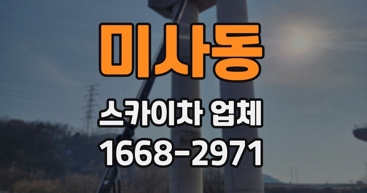 미사동 스카이차 업체