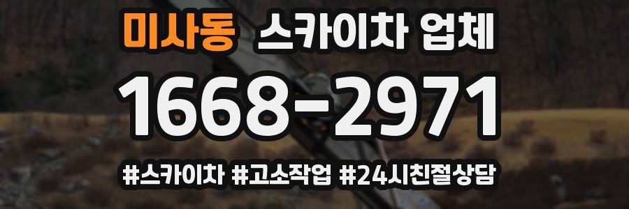 미사동 스카이차 업체