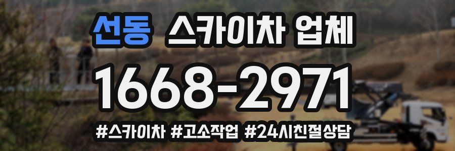 선동 스카이차 업체