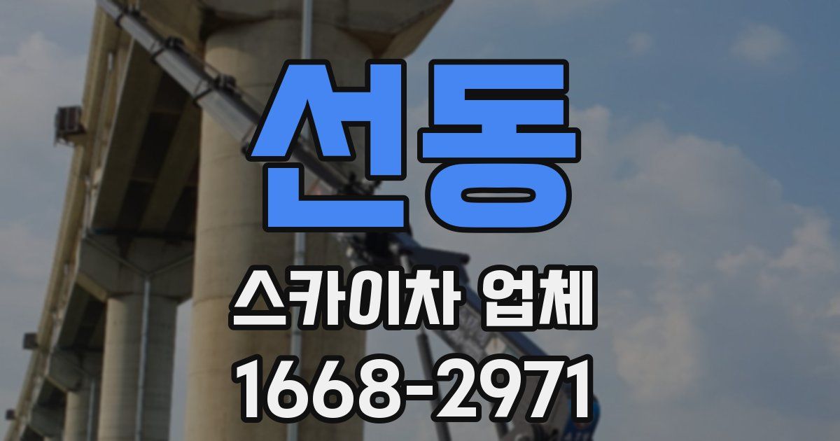 선동 스카이차 업체