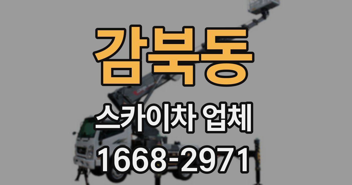 감북동 스카이차 업체