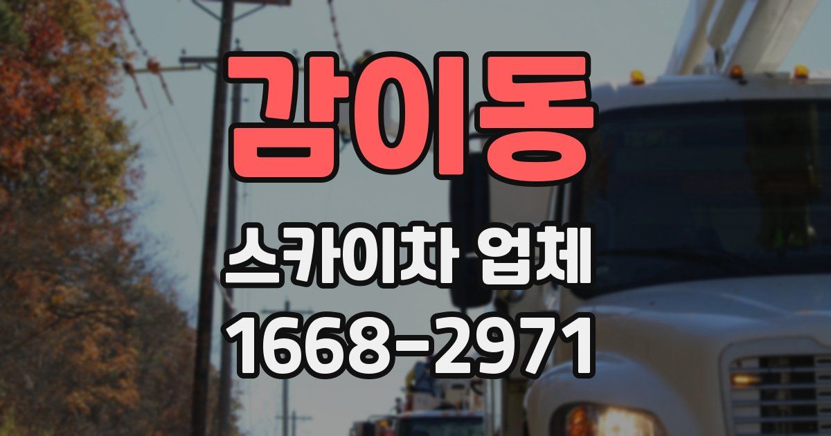 감이동 스카이차 업체