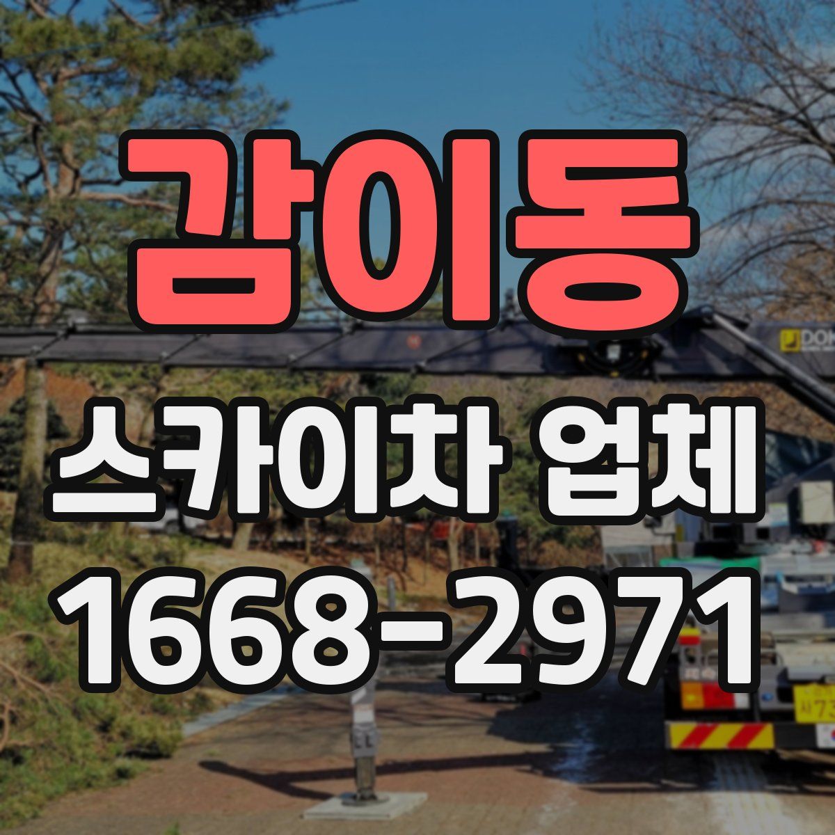 감이동 스카이차 업체