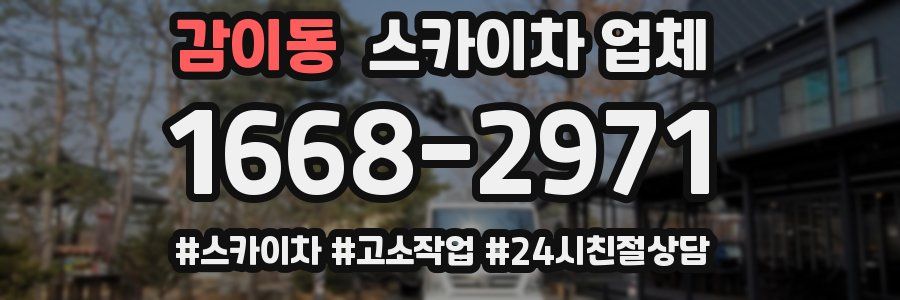감이동 스카이차 업체