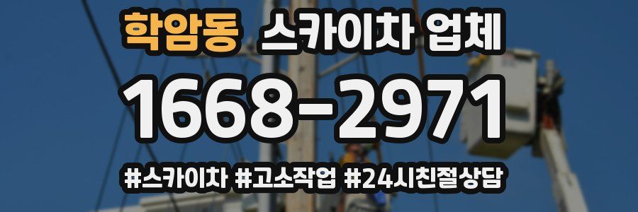 학암동 스카이차 업체