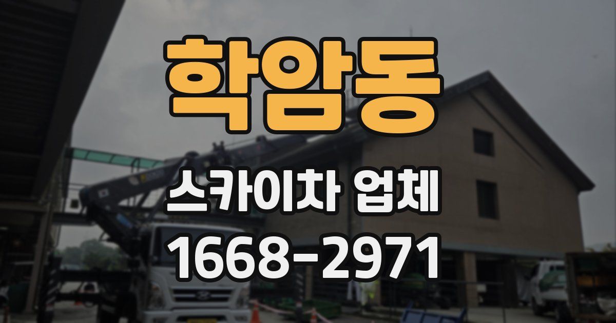 학암동 스카이차 업체