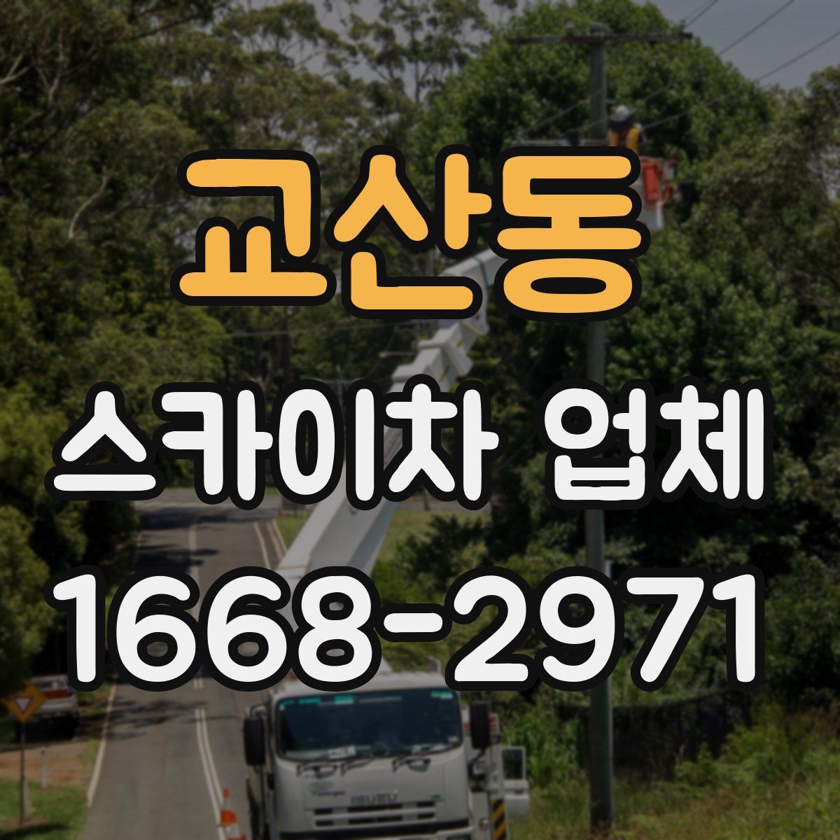 교산동 스카이차 업체