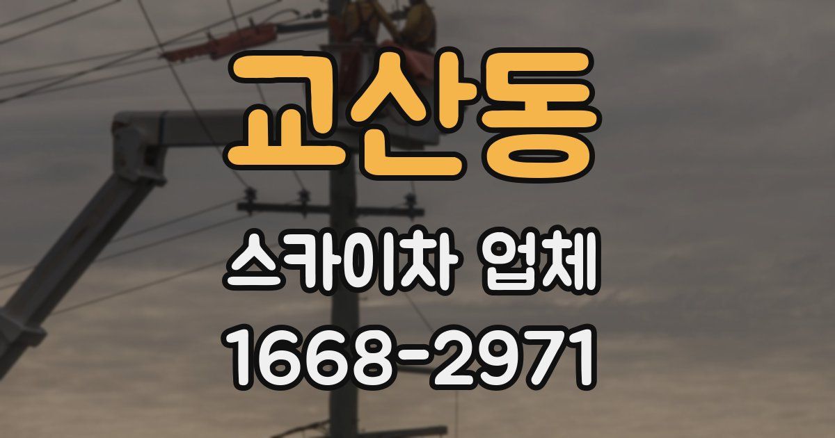 교산동 스카이차 업체